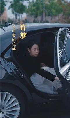 《女老板的复仇》