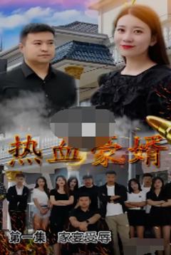 《热血豪婿》