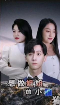 《想做姐姐的小狼狗》