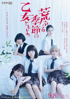 《骚动时节的少女们啊2020》