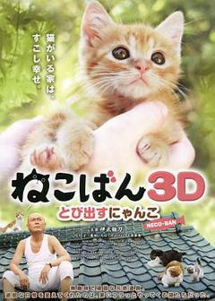 《小猫跳出来3D》