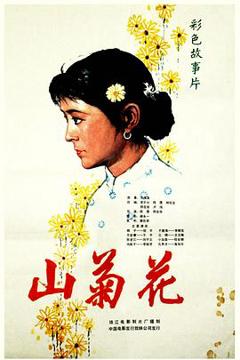 《山菊花》