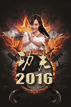 《功夫2016》