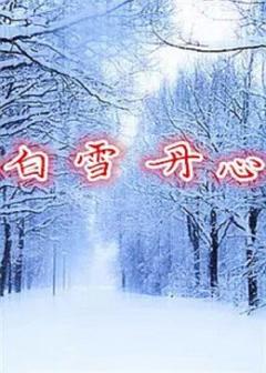 《白雪丹心》