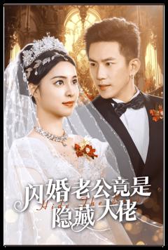 《闪婚老公竟是隐藏大佬》