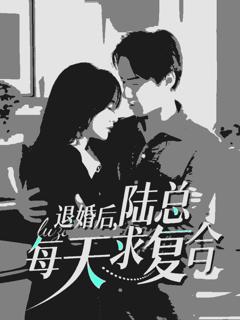 《退婚后陆总每天求复合》