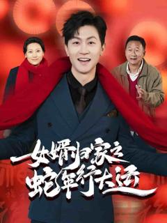 《女婿归家之蛇年行大运》