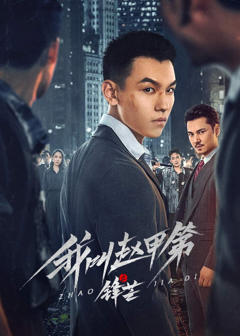 《我叫赵甲第之锋芒》