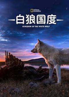 《雪狼王国第一季》