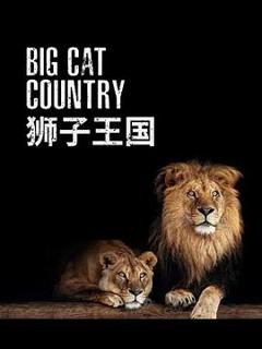 《狮子王国》