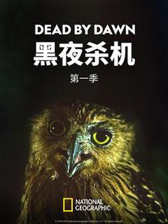 《黑夜杀机第一季》
