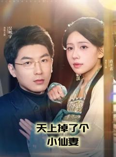 《天上掉了个小仙妻》