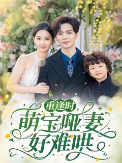 《重逢时萌宝哑妻好难哄》