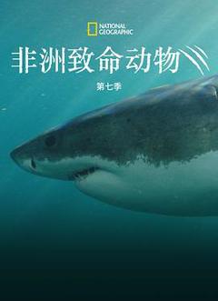 《非洲致命动物第七季》