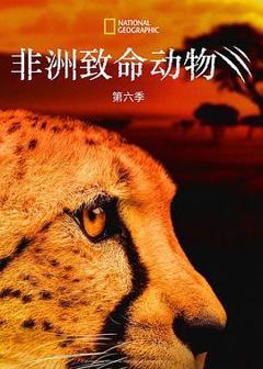 《非洲致命动物第六季》