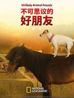 《不可思议的好朋友第三季》