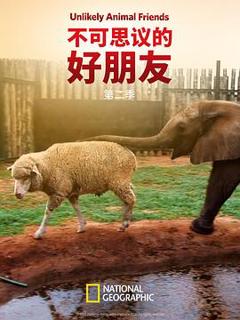 《不可思议的好朋友第二季》