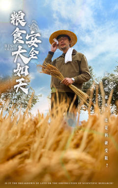 《粮食安全大如天》