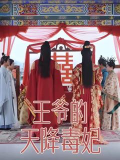 《王爷的天降毒妃》