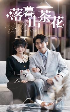 《落幕山茶花》