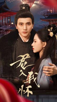 《君入我怀》