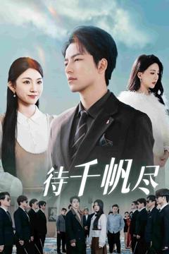 《新版：待千帆尽》