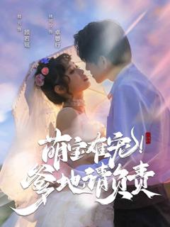 《萌宝难宠！爹地请负责》