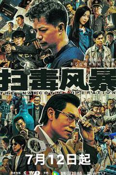 《扫毒风暴剧版》