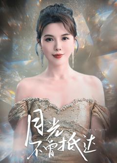 《月光不曾抵达》