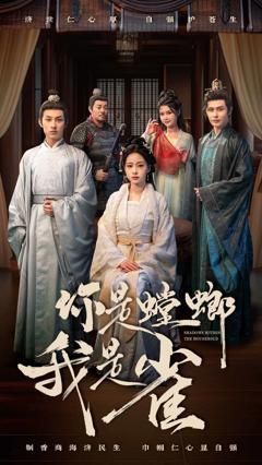 《你是螳螂我是雀》