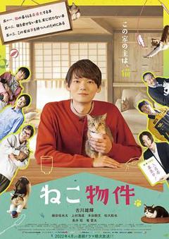 《猫物件》