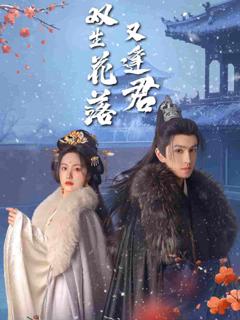 《双生花落又逢君》