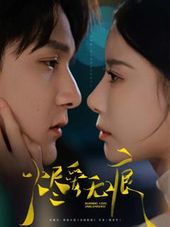 《烬爱无痕》