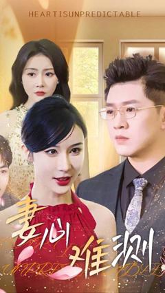 《妻心难测》