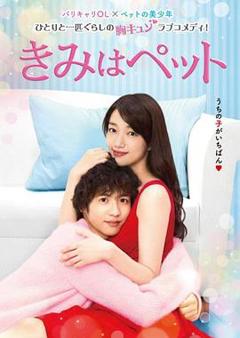 《宠物情人2017》