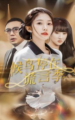 《候鸟停在谎言季》