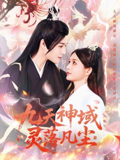 《九天神域灵落凡尘》