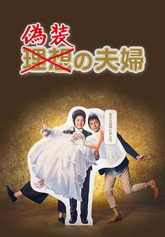 《伪装夫妇2015》