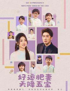 《好运肥妻天降五宝》