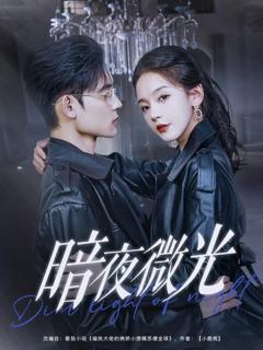 《暗夜微光》