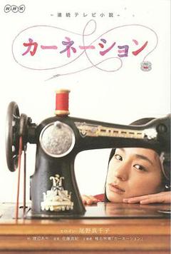 《康乃馨》
