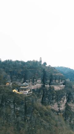 《功夫萌宝神算爹》