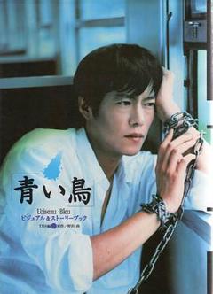 《青鸟1997》