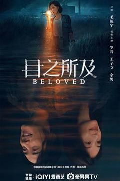 《目之所及》