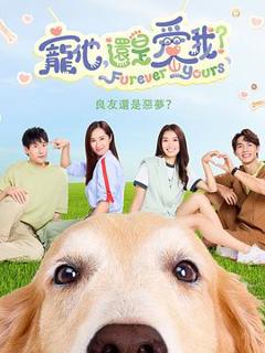 《宠他，还是爱我？》