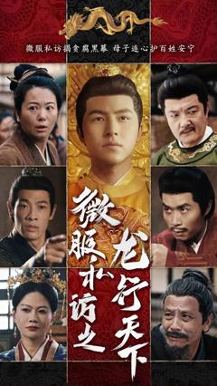 《微服私访之龙行天下》