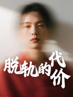 《脱轨的代价》