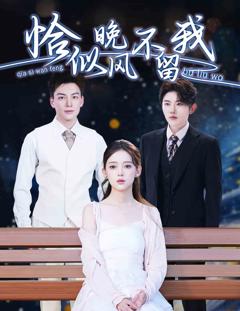 《恰似晚风不留我》
