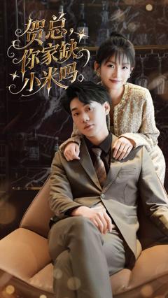 《贺总你家缺小米吗》