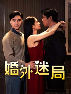 《婚外迷局》